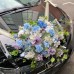 Wedding Car