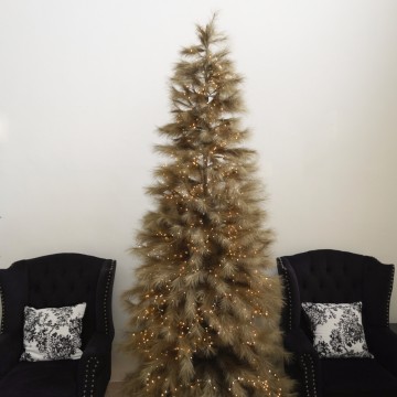 Tall Xmas Tree