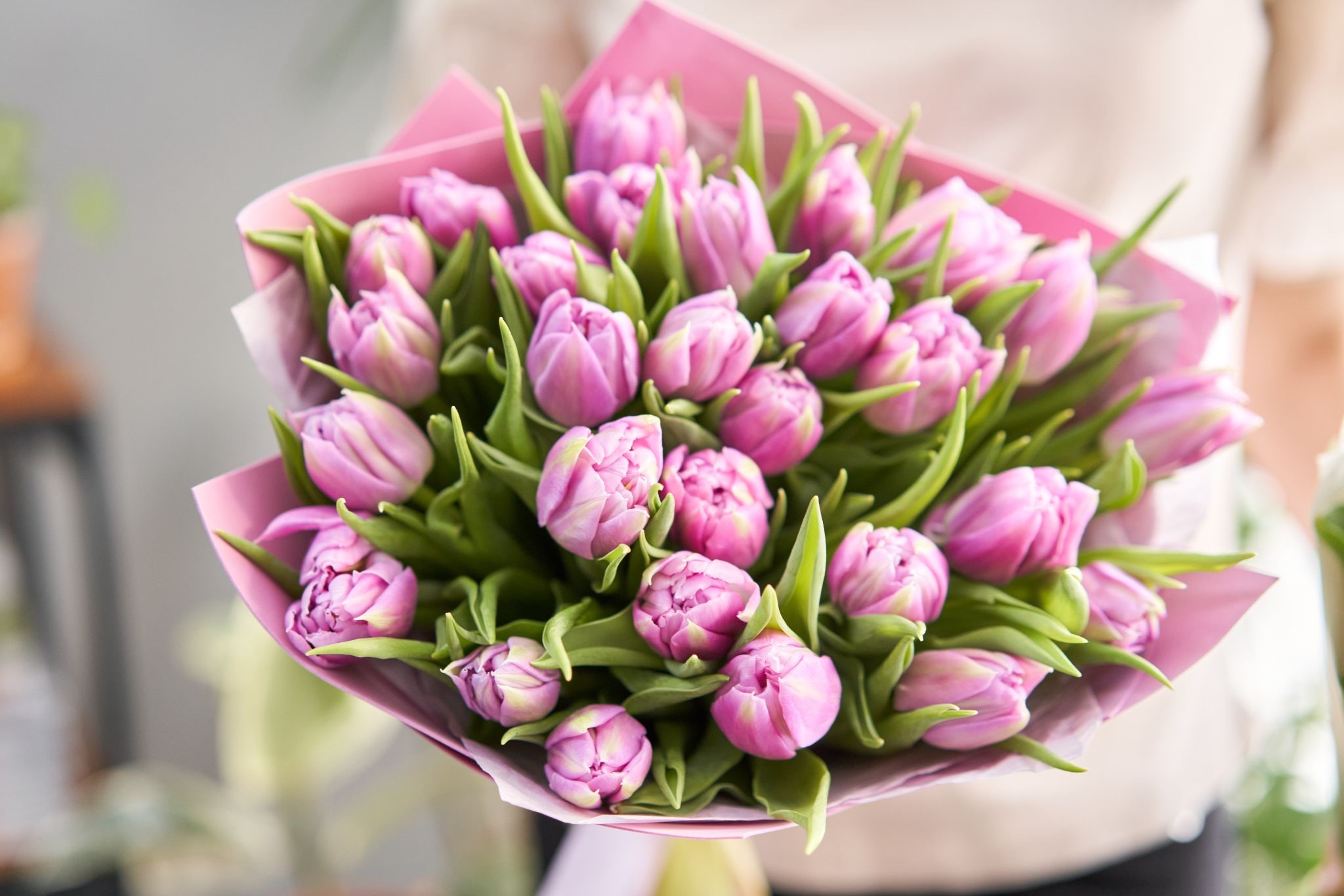 Best Hypoallergenic Flowers That You Can Give Someone With Allergy